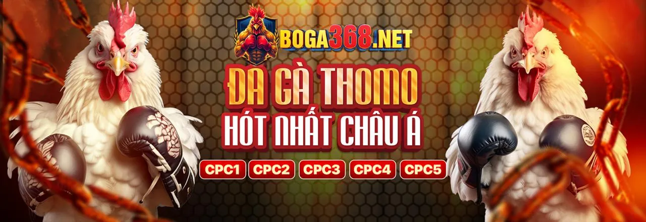 FCB8 Game Bài 2026 Đăng Ký Tài Khoản