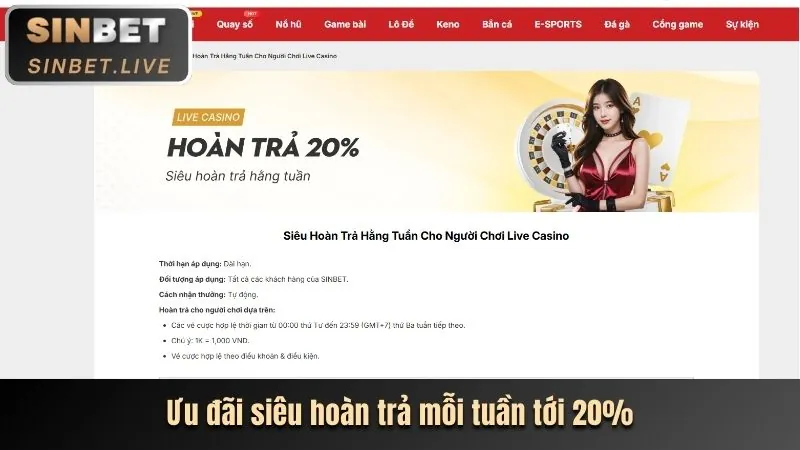 Hoàn Trả Cược Thua Thể Thao